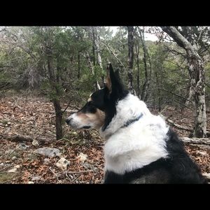 Meet your Posher, Jim